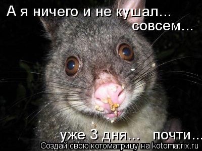 А я ничего и не кушал... совсем... уже 3 дня... почти...... Котоматрица: А я ничего и не кушал... совсем... уже 3 дня... почти...