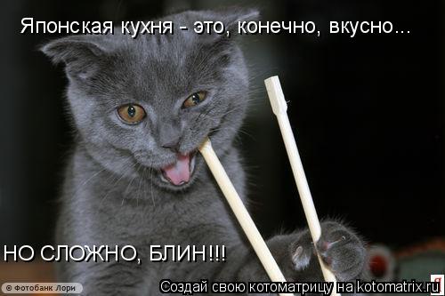 Японская кухня - это, конечно, вкусно... НО СЛОЖНО, БЛИН!!!... Котоматрица: Японская кухня - это, конечно, вкусно... НО СЛОЖНО, БЛИН!!!