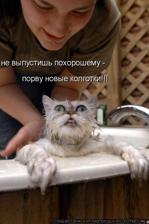 не выпустишь похорошему - порву новые колготки!!!... Котоматрица: не выпустишь похорошему - порву новые колготки!!!