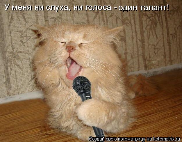 У меня ни слуха, ни голоса - один талант!... Котоматрица: У меня ни слуха, ни голоса - один талант!