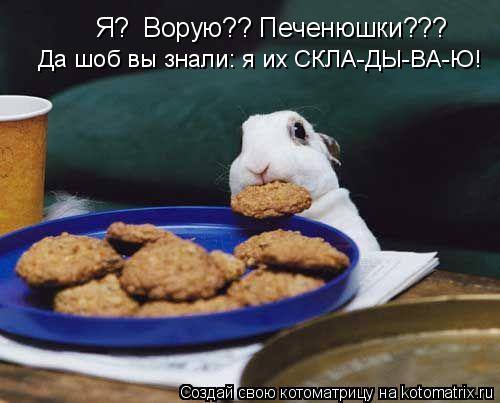 Котоматрица: Я?  Ворую?? Печенюшки??? Да шоб вы знали: я их СКЛА-ДЫ-ВА-Ю!