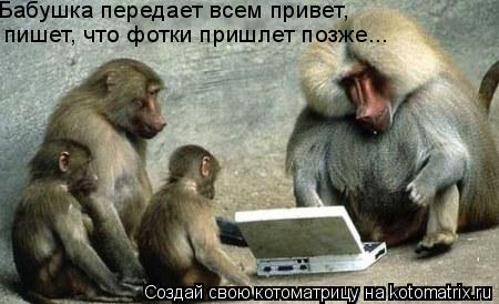 Бабушка передает всем привет, пишет, что фотки пришлет позже...... Котоматрица: Бабушка передает всем привет, пишет, что фотки пришлет позже...