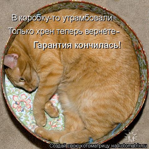 В коробку-то утрамбовали Только хрен теперь вернёте Гарантия кончилась! -... Котоматрица: В коробку-то утрамбовали Только хрен теперь вернёте Гарантия кончилась! -