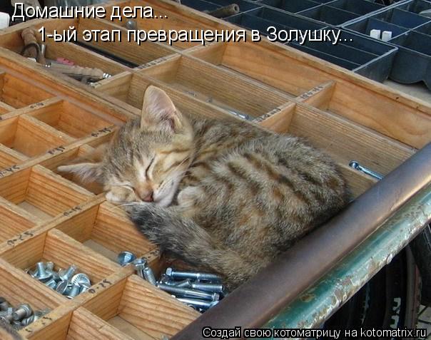 Домашние дела... 1-ый этап превращения в Золушку...... Котоматрица: Домашние дела... 1-ый этап превращения в Золушку...