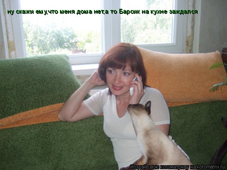 ну скажи ему,что меня дома нет,а то Барсик на кухне заждался... Котоматрица: ну скажи ему,что меня дома нет,а то Барсик на кухне заждался