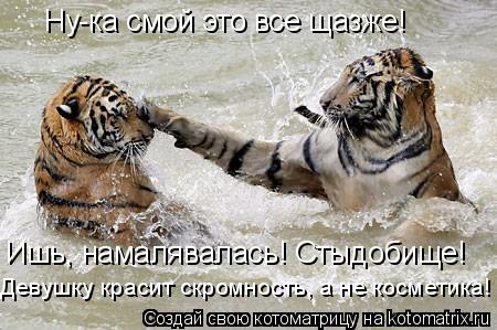 Ну-ка смой это все щазже! Ишь, намалявалась! Стыдобище! Девушку красит скромность, а не косметика!... Котоматрица: Ну-ка смой это все щазже! Ишь, намалявалась! Стыдобище! Девушку красит скромность, а не косметика!