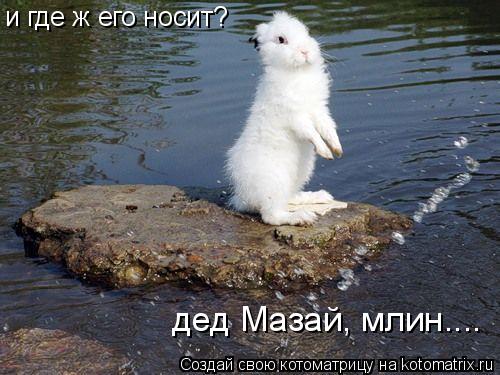 и где ж его носит? дед Мазай, млин....... Котоматрица: и где ж его носит? дед Мазай, млин....