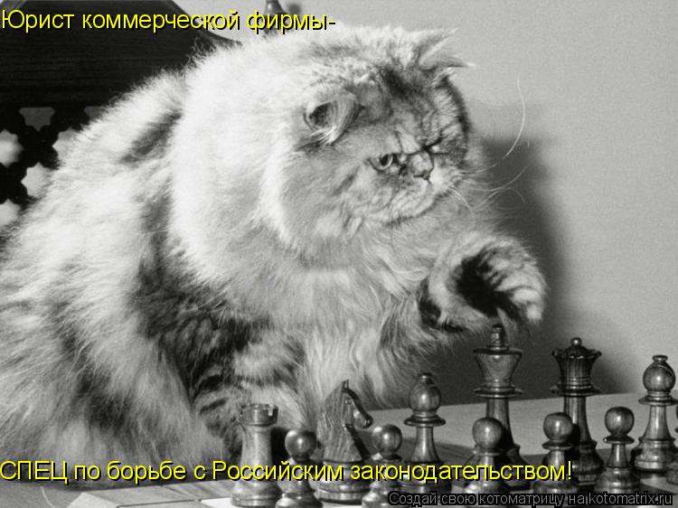 Юрист коммерческой фирмы- СПЕЦ по борьбе с Российским законодательством!... Котоматрица: Юрист коммерческой фирмы- СПЕЦ по борьбе с Российским законодательством!