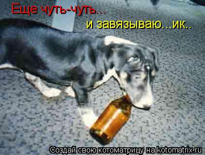 Еще чуть-чуть... и завязываю...ик..... Котоматрица: Еще чуть-чуть... и завязываю...ик..