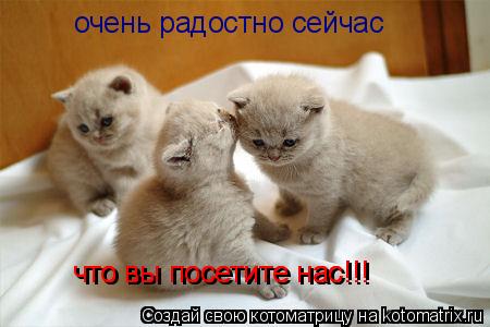 очень радостно сейчас что вы посетите нас!!! что вы посетите нас!!!... Котоматрица: очень радостно сейчас что вы посетите нас!!! что вы посетите нас!!!