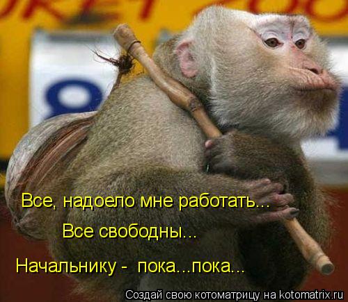 Все, надоело мне работать... Начальнику - пока...пока... Все свободны...... Котоматрица: Все, надоело мне работать... Начальнику - пока...пока... Все свободны...