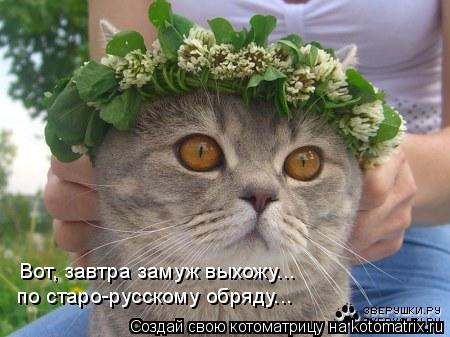 Вот, завтра замуж выхожу... по старо-русскому обряду...... Котоматрица: Вот, завтра замуж выхожу... по старо-русскому обряду...