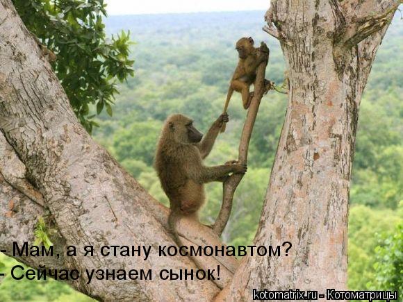 - Мам, а я стану космонавтом? - Сейчас узнаем сынок!... Котоматрица: - Мам, а я стану космонавтом? - Сейчас узнаем сынок!