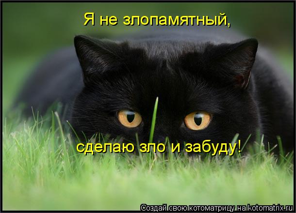 Я не злопамятный, сделаю зло и забуду!... Котоматрица: Я не злопамятный, сделаю зло и забуду!