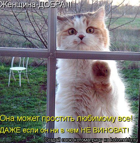 Женщина-ДОБРА!!! Она может простить любимому все! ДАЖЕ если он ни в чем НЕ ВИНОВАТ!... Котоматрица: Женщина-ДОБРА!!! Она может простить любимому все! ДАЖЕ если он ни в чем НЕ ВИНОВАТ!