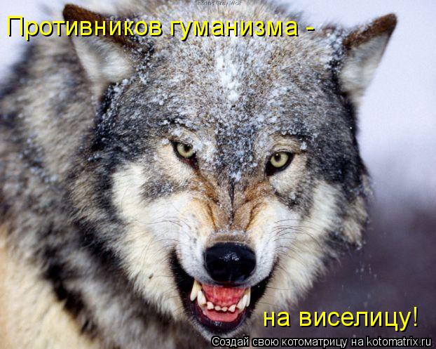 Противников гуманизма - на виселицу!... Котоматрица: Противников гуманизма - на виселицу!