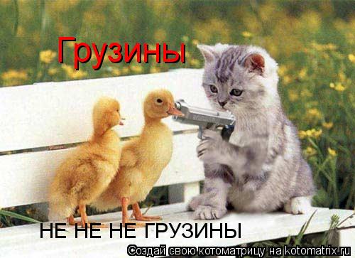 Грузины НЕ НЕ НЕ ГРУЗИНЫ... Котоматрица: Грузины НЕ НЕ НЕ ГРУЗИНЫ