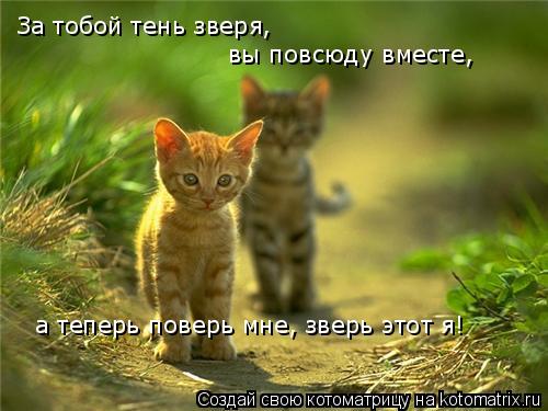 За тобой тень зверя, вы повсюду вместе, а теперь поверь мне, зверь этот я!... Котоматрица: За тобой тень зверя, вы повсюду вместе, а теперь поверь мне, зверь этот я!