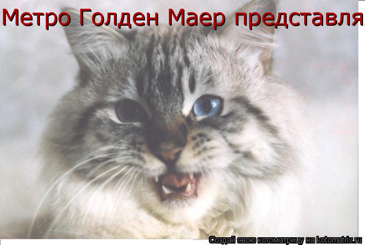 Метро Голден Маер представляяеТ!... Котоматрица: Метро Голден Маер представляяеТ!