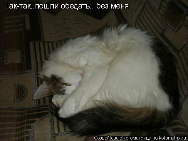 Так-так..пошли обедать.. без меня... Котоматрица: Так-так..пошли обедать.. без меня