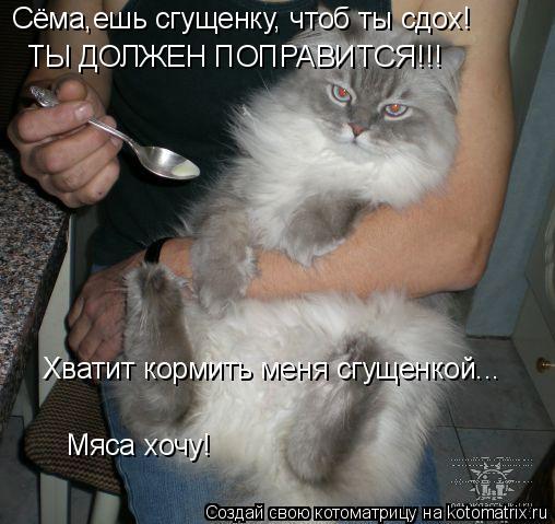 Сёма,ешь сгущенку, чтоб ты сдох! ТЫ ДОЛЖЕН ПОПРАВИТСЯ!!!... Котоматрица: Сёма,ешь сгущенку, чтоб ты сдох! ТЫ ДОЛЖЕН ПОПРАВИТСЯ!!!