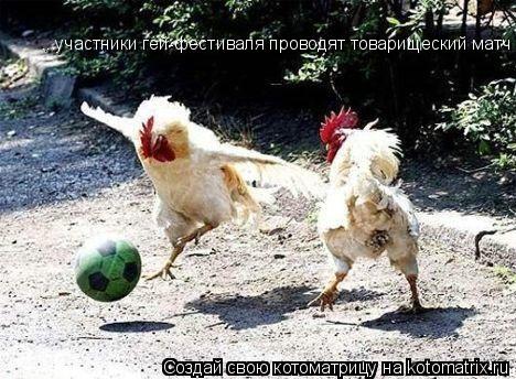 ...участники гей-фестиваля проводят товарищеский матч... Котоматрица: ...участники гей-фестиваля проводят товарищеский матч