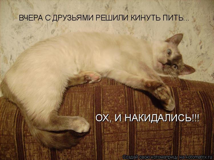 ВЧЕРА С ДРУЗЬЯМИ РЕШИЛИ КИНУТЬ ПИТЬ... ОХ, И НАКИДАЛИСЬ!!!... Котоматрица: ВЧЕРА С ДРУЗЬЯМИ РЕШИЛИ КИНУТЬ ПИТЬ... ОХ, И НАКИДАЛИСЬ!!!