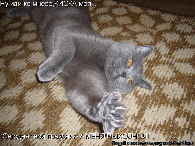 Ну иди ко мнеее,КИСКА моя... Сегодня твой праздник-У МЕНЯ ВЫХОДНОЙ!... Котоматрица: Ну иди ко мнеее,КИСКА моя... Сегодня твой праздник-У МЕНЯ ВЫХОДНОЙ!