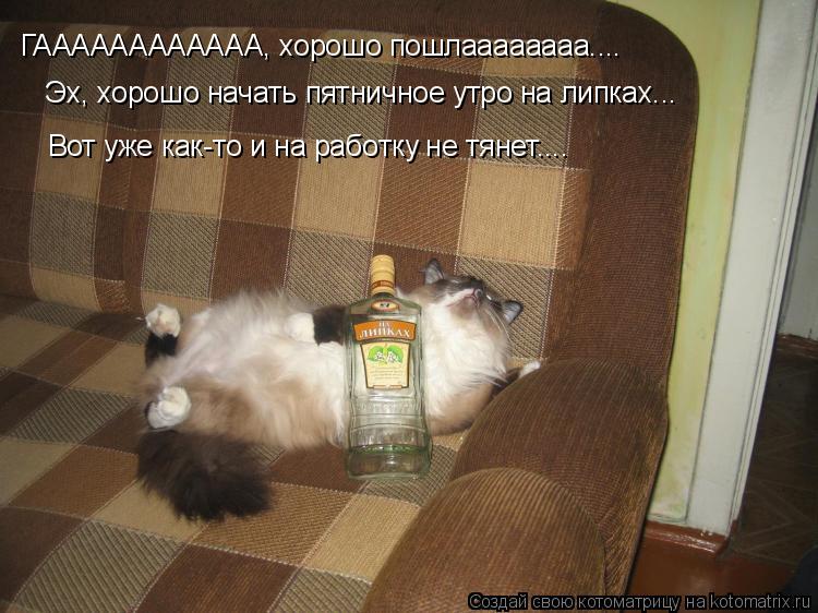 ГАААААААААААА, хорошо пошлаааааааа.... Вот уже как-то и на работку не тянет.... Эх, хорошо начать пят... Котоматрица: ГАААААААААААА, хорошо пошлаааааааа.... Вот уже как-то и на работку не тянет.... Эх, хорошо начать пятничное утро на липках...