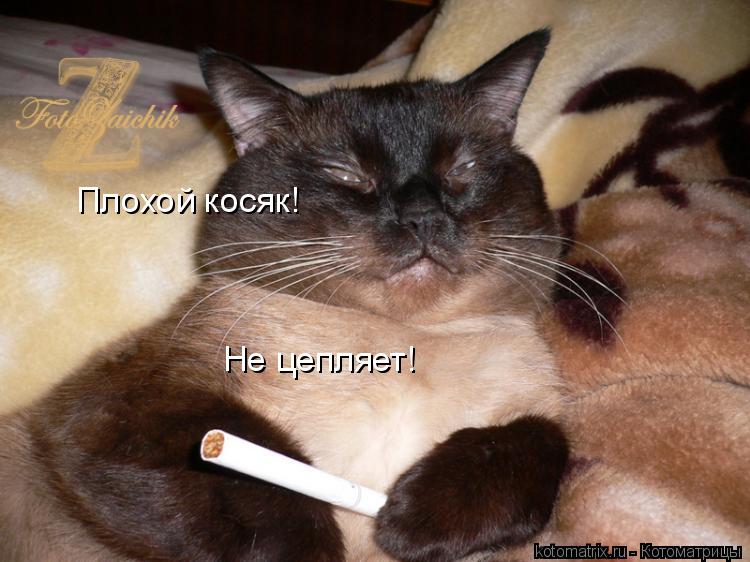 Плохой косяк! Не цепляет!... Котоматрица: Плохой косяк! Не цепляет!