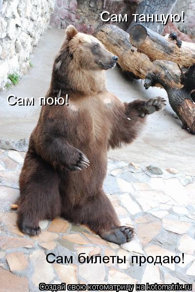 Сам танцую! Сам пою! Сам билеты продаю!... Котоматрица: Сам танцую! Сам пою! Сам билеты продаю!