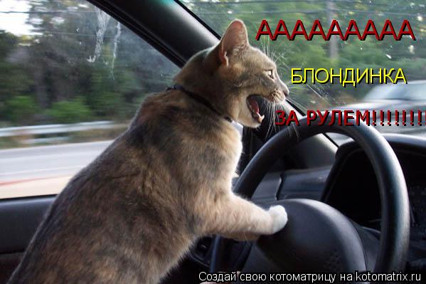 БЛОНДИНКА ААААААААА ЗА РУЛЕМ!!!!!!!!... Котоматрица: БЛОНДИНКА ААААААААА ЗА РУЛЕМ!!!!!!!!