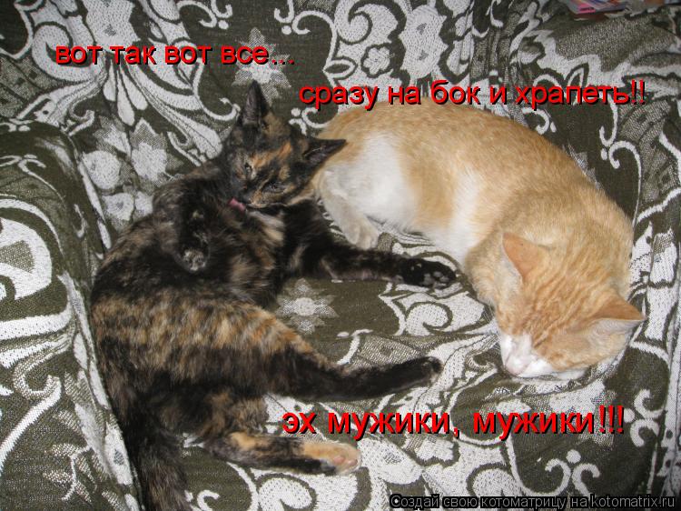 вот так вот все... сразу на бок и храпеть!! эх мужики, мужики!!!... Котоматрица: вот так вот все... сразу на бок и храпеть!! эх мужики, мужики!!!