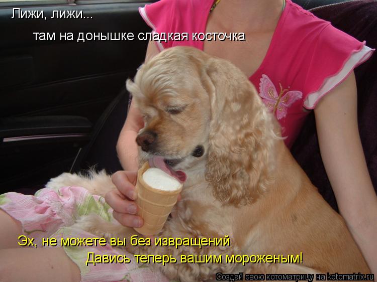 Лижи, лижи... там на донышке сладкая косточка Эх, не можете вы без извращений Давись теперь вашим мо... Котоматрица: Лижи, лижи... там на донышке сладкая косточка Эх, не можете вы без извращений Давись теперь вашим мороженым!