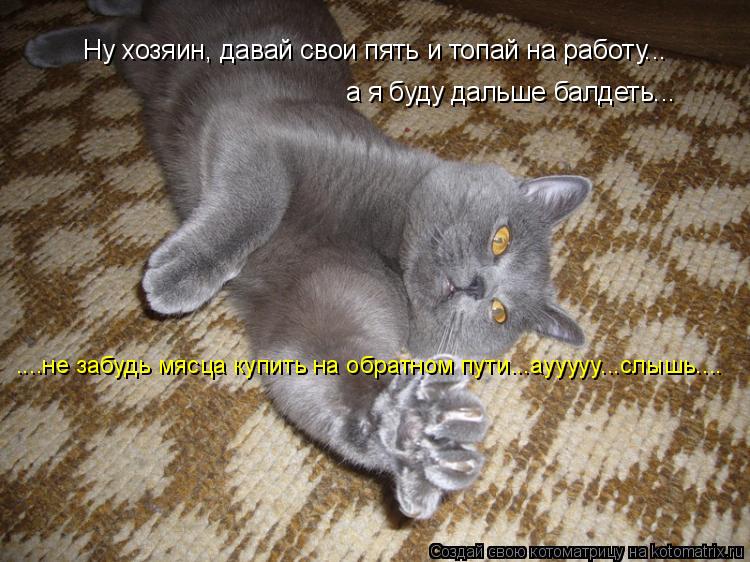 Ну хозяин, давай свои пять и топай на работу... а я буду дальше балдеть... ....не забудь мясца купить... Котоматрица: Ну хозяин, давай свои пять и топай на работу... а я буду дальше балдеть... ....не забудь мясца купить на обратном пути...аууууу...слышь....