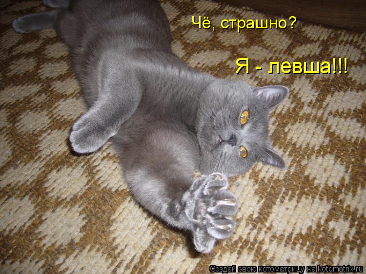 Чё, страшно? Я - левша!!!... Котоматрица: Чё, страшно? Я - левша!!!