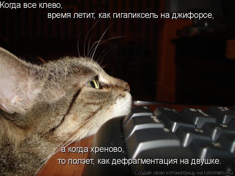 Когда все клево, время летит, как гигапиксель на джифорсе, а когда хреново, то ползет, как дефрагмент... Котоматрица: Когда все клево, время летит, как гигапиксель на джифорсе, а когда хреново, то ползет, как дефрагментация на двушке.