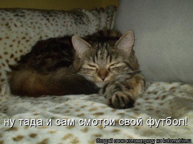 ну тада и сам смотри свой футбол!... Котоматрица: ну тада и сам смотри свой футбол!