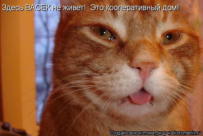Здесь ВАСЕК не живет! Это кооперативный дом!... Котоматрица: Здесь ВАСЕК не живет! Это кооперативный дом!