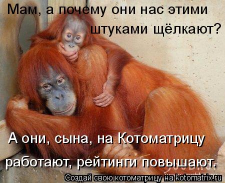 А они, сына, на Котоматрицу работают, рейтинги повышают. Мам, а почему они нас этими штуками щёлкают... Котоматрица: А они, сына, на Котоматрицу работают, рейтинги повышают. Мам, а почему они нас этими штуками щёлкают?
