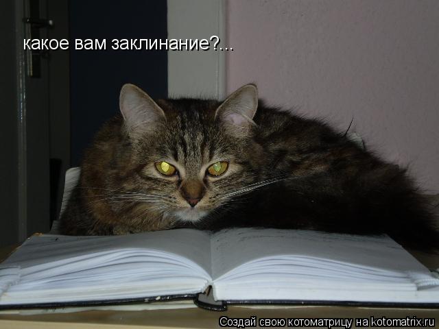какое вам заклинание?...... Котоматрица: какое вам заклинание?...