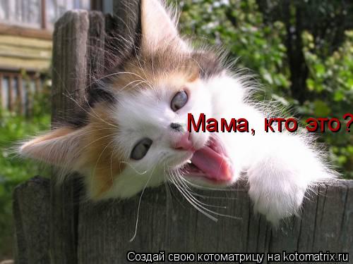 Мама, кто Мама, кто это?... Котоматрица: Мама, кто Мама, кто это?
