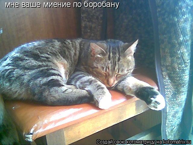 мне ваше миение по боробану... Котоматрица: мне ваше миение по боробану