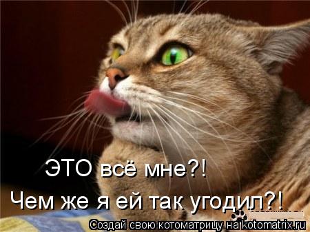 Чем же я ей так угодил?! ЭТО всё мне?!... Котоматрица: Чем же я ей так угодил?! ЭТО всё мне?!