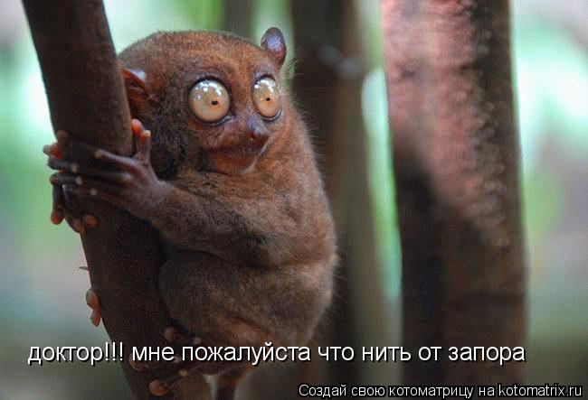 доктор!!! мне пожалуйста что нить от запора... Котоматрица: доктор!!! мне пожалуйста что нить от запора
