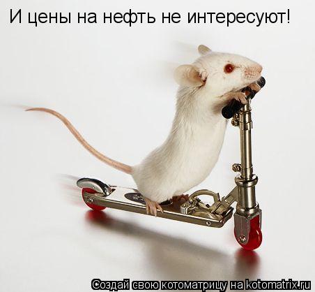 И цены на нефть не интересуют!... Котоматрица: И цены на нефть не интересуют!
