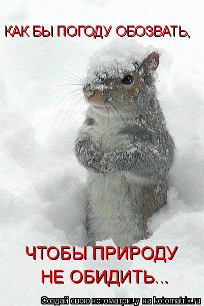 КАК БЫ ПОГОДУ ОБОЗВАТЬ, ЧТОБЫ ПРИРОДУ НЕ ОБИДИТЬ...... Котоматрица: КАК БЫ ПОГОДУ ОБОЗВАТЬ, ЧТОБЫ ПРИРОДУ НЕ ОБИДИТЬ...