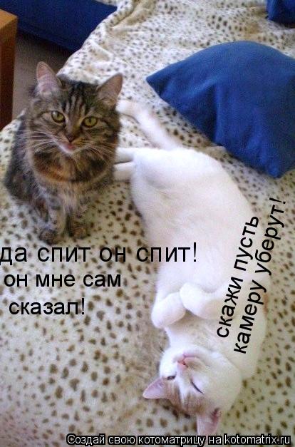 да спит он спит! он мне сам сказал! скажи пусть камеру уберут!... Котоматрица: да спит он спит! он мне сам сказал! скажи пусть камеру уберут!