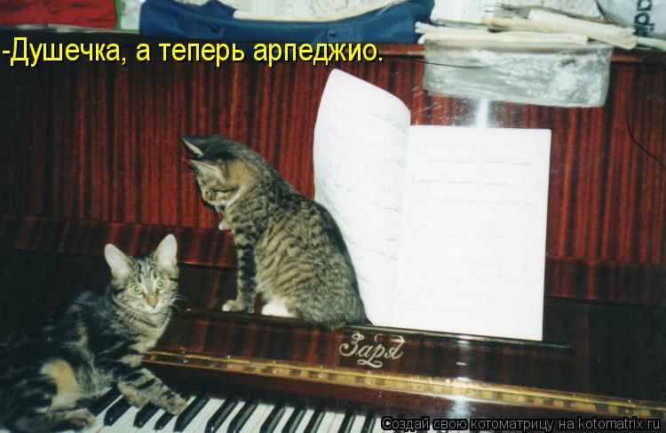 -Душечка, а теперь арпеджио.... Котоматрица: -Душечка, а теперь арпеджио.