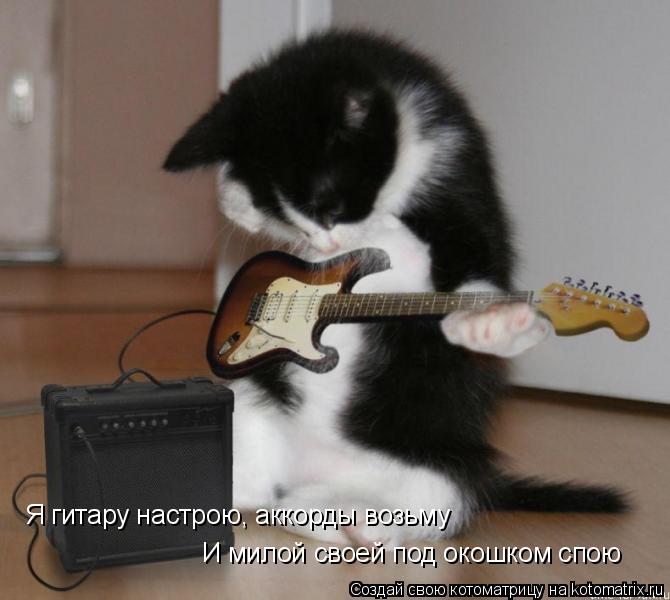 Я гитару настрою, аккорды возьму И милой своей под окошком спою... Котоматрица: Я гитару настрою, аккорды возьму И милой своей под окошком спою